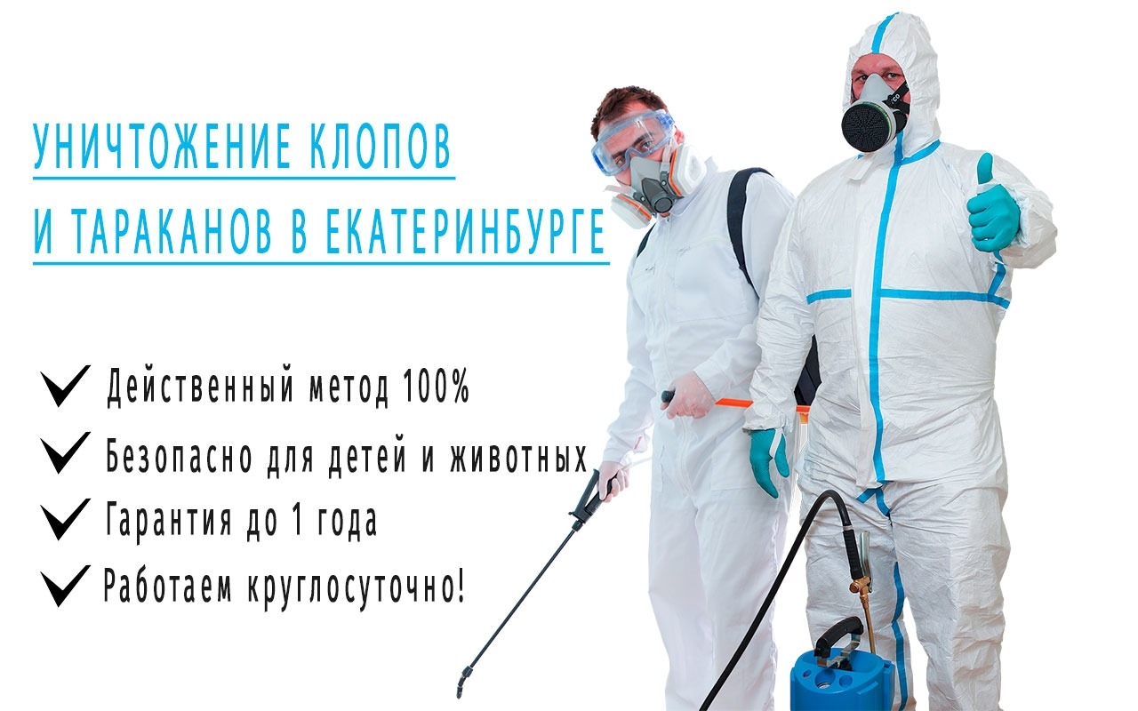 Уничтожение клопов и тараканов — «Центр дезинфекции Екатеринбург ...